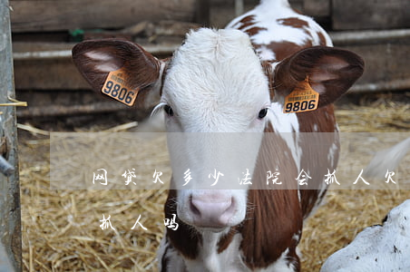 网贷欠多少法院会抓人(欠网贷2000法院抓人吗)