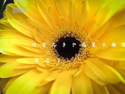 网贷欠多少这辈子都还不完(网贷欠几年就不用还了)
