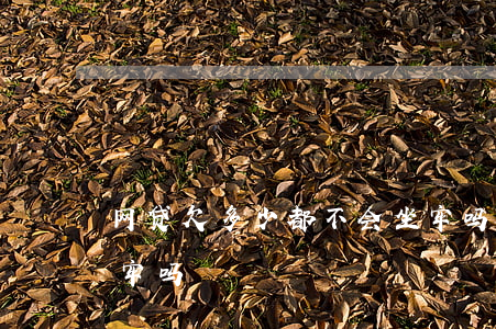 网贷欠多少都不会坐牢吗(欠网贷欠太多会坐牢吗)