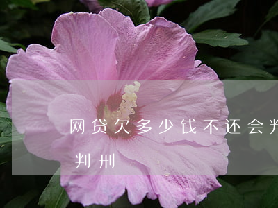 网贷欠多少钱不还会判刑(网贷欠款多少钱被判刑)