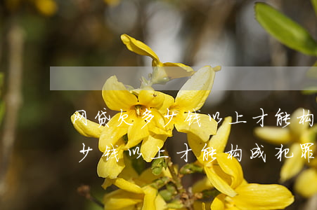 网贷欠多少钱以上才能构成犯罪-网贷欠多少钱以上才能构成犯罪行为