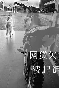网贷欠多少钱会被起诉吗(网贷欠款多少才会被起诉)