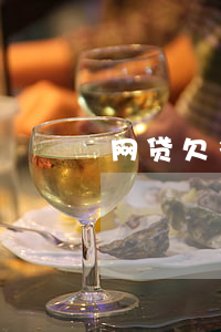 网贷欠多少钱(网贷欠多少钱可以被起诉)
