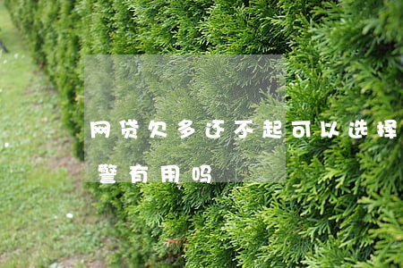 网贷欠多还不起可以选择报警吗(欠了网贷报警有用吗)