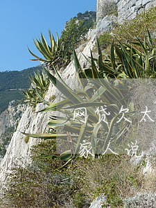 网贷欠太多不敢和家人说(网贷欠太多不敢和家人说)