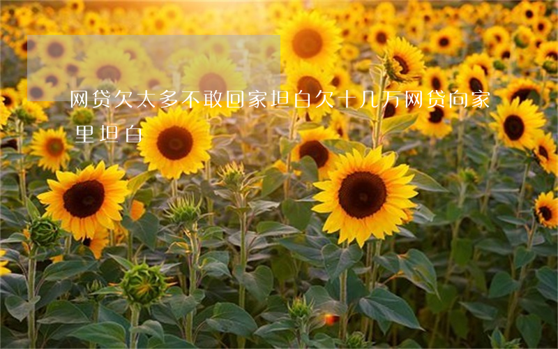 网贷欠太多不敢回家坦白(欠十几万网贷向家里坦白)