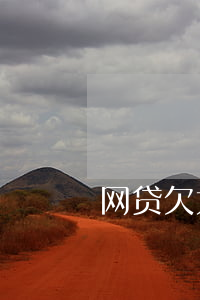 网贷欠太多不还(网贷不还的多吗)