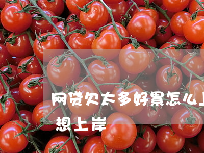 网贷欠太多好累怎么上岸(欠网贷五万太累了想上岸)
