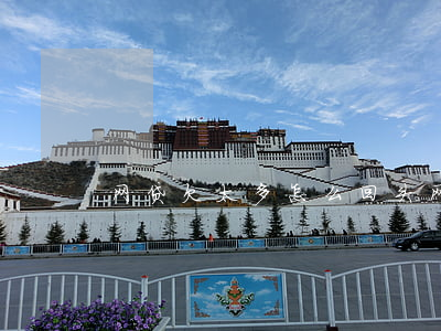 网贷欠太多怎么回头(网贷太多怎么还清)