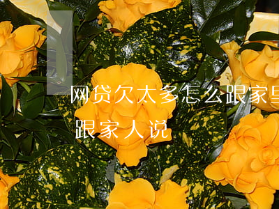网贷欠太多怎么跟家里说(网贷越欠越多不敢跟家人说)