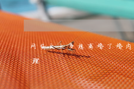 网贷欠太多想离婚了(婚内欠网贷离婚怎么处理)