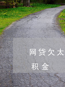 网贷欠太多能否取公积金(借太多网贷提取公积金)