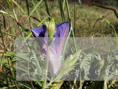 网贷欠太多还可以去银行贷款吗-网贷欠太多还可以去银行贷款吗知乎
