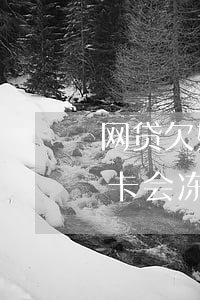 网贷欠好多不还会冻结银行卡(网贷不还银行卡会冻结吗)