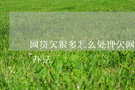 网贷欠很多怎么处理(欠网贷欠太多最好处理办法)