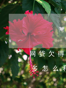 网贷欠得太多怎么跟你家里坦白-网贷欠太多怎么和家里人说