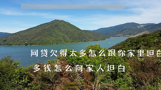 网贷欠得太多怎么跟你家里坦白(网贷欠了很多钱,怎么向家人坦白)