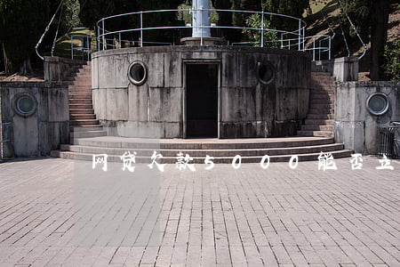 网贷欠款5000能否立案？