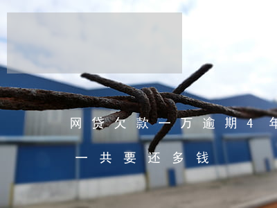网贷欠款一万逾期4年-网贷一万逾期一年一共要还多钱