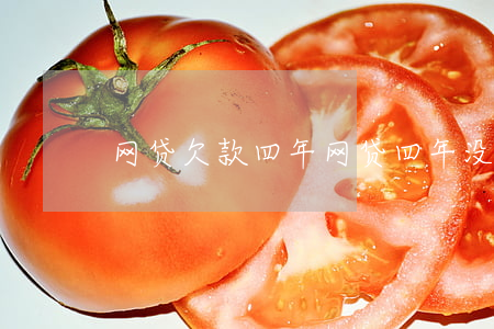 网贷欠款四年（网贷四年没还能起诉吗）