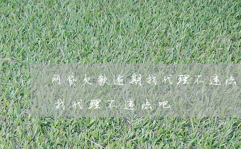 网贷欠款逾期找代理不违法吧(网贷欠款逾期找代理不违法吧)