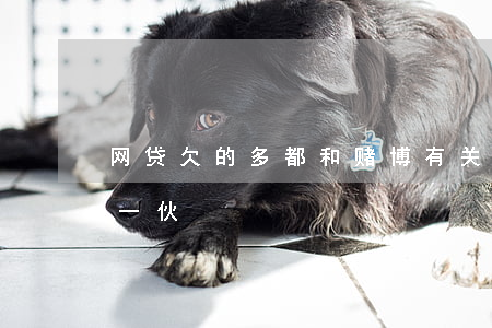 网贷欠的多都和赌博有关系(网贷和网赌都是一伙)