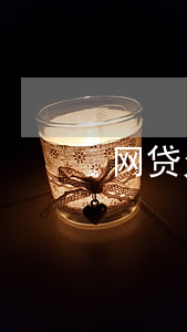 网贷欠的钱都不还了(网贷欠钱不还的后果)