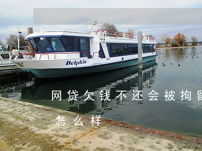 网贷欠钱不还会被拘留吗(欠网贷的钱不还会怎么样)