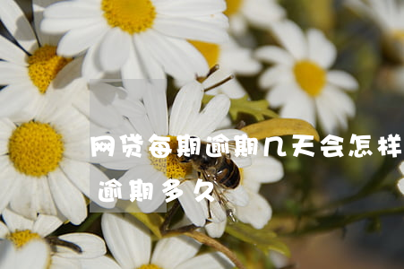 网贷每期逾期几天会怎样(网贷逾期最多可以逾期多久)