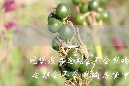 网贷没有逾期会不会影响房贷审批 网贷没有逾期会不会影响房贷审批结果