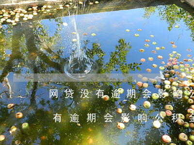 网贷没有逾期会影响公积金贷款吗-网贷没有逾期会影响公积金贷款吗