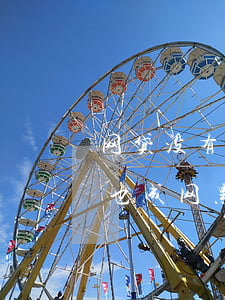 网贷没有逾期却成了网黑(为什么我没有逾期也成网黑了)
