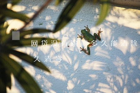 网贷没有逾期多久能清除(网贷逾期已还清多久清零)