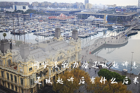 网贷没能力偿还被起诉怎么办(欠网贷无力偿还被起诉后有什么后果)