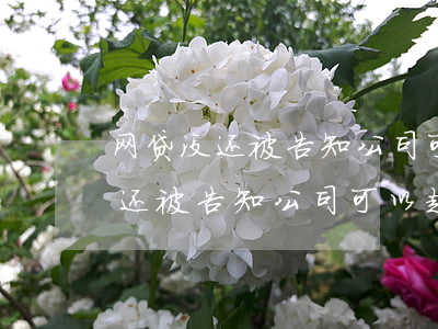 网贷没还被告知公司可以起诉他吗-网贷没还被告知公司可以起诉他吗怎么办