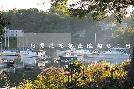 网贷没还被法院起诉了(网贷没还被法院起诉了怎么办)