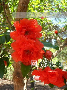 网贷没逾期上不上征信(网贷没逾期上不上征信)