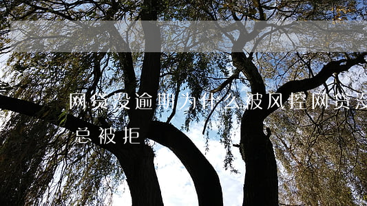 网贷没逾期为什么被风控(网贷没逾期为什么总被拒)