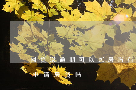 网贷没逾期可以买房吗(有网贷没有逾期可以申请房贷吗)