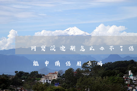 网贷没逾期怎么办不了信用卡(有网贷没逾期能申请信用卡吗)