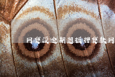 网贷没逾期想抵押贷款(网贷有逾期)