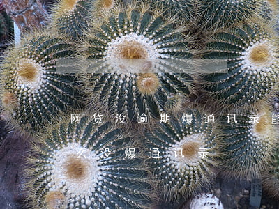 网贷没逾期爆通讯录能否起诉(网贷逾期为什么没爆通讯录)
