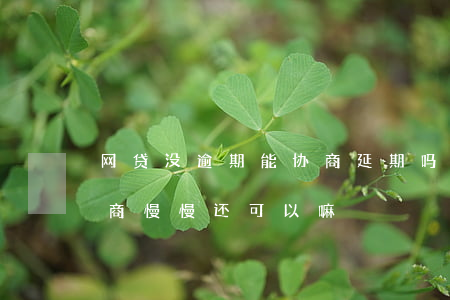 网贷没逾期能协商延期吗(网贷逾期还不上,协商慢慢还可以嘛)