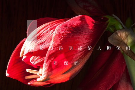 网贷没逾期能给人担保吗(欠网贷十万元可以给人担保吗)