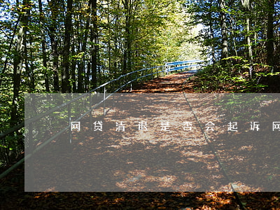 网贷清退是否会起诉(网贷 清退)