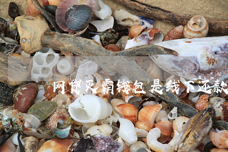 网贷灭霸钱包是线下还款安全吗-