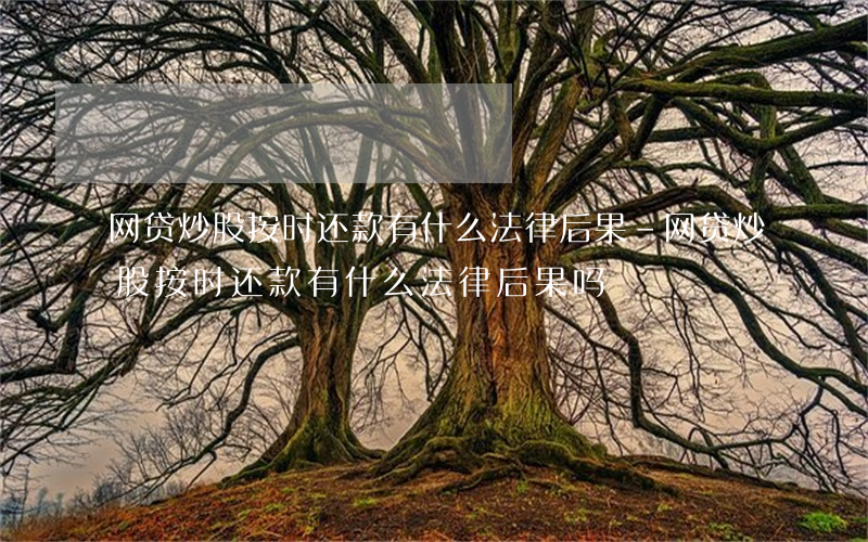 网贷炒股按时还款有什么法律后果-网贷炒股按时还款有什么法律后果吗