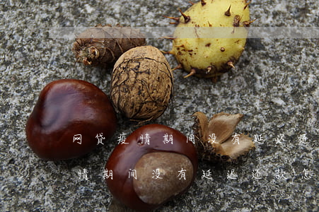 网贷疫情期间没有延迟还款怎么办-网贷疫情期间没有延迟还款怎么办理