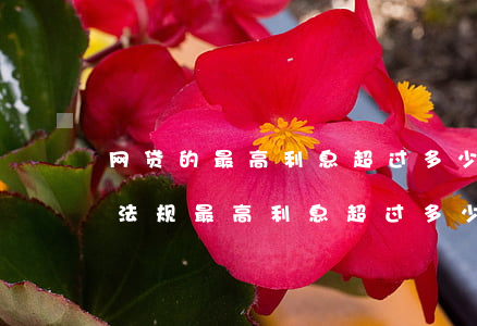 网贷的最高利息超过多少是违法的，了解网贷法规：最高利息超过多少被视为违法？