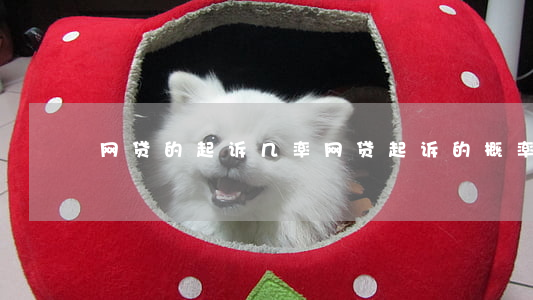 网贷的起诉几率(网贷起诉的概率)